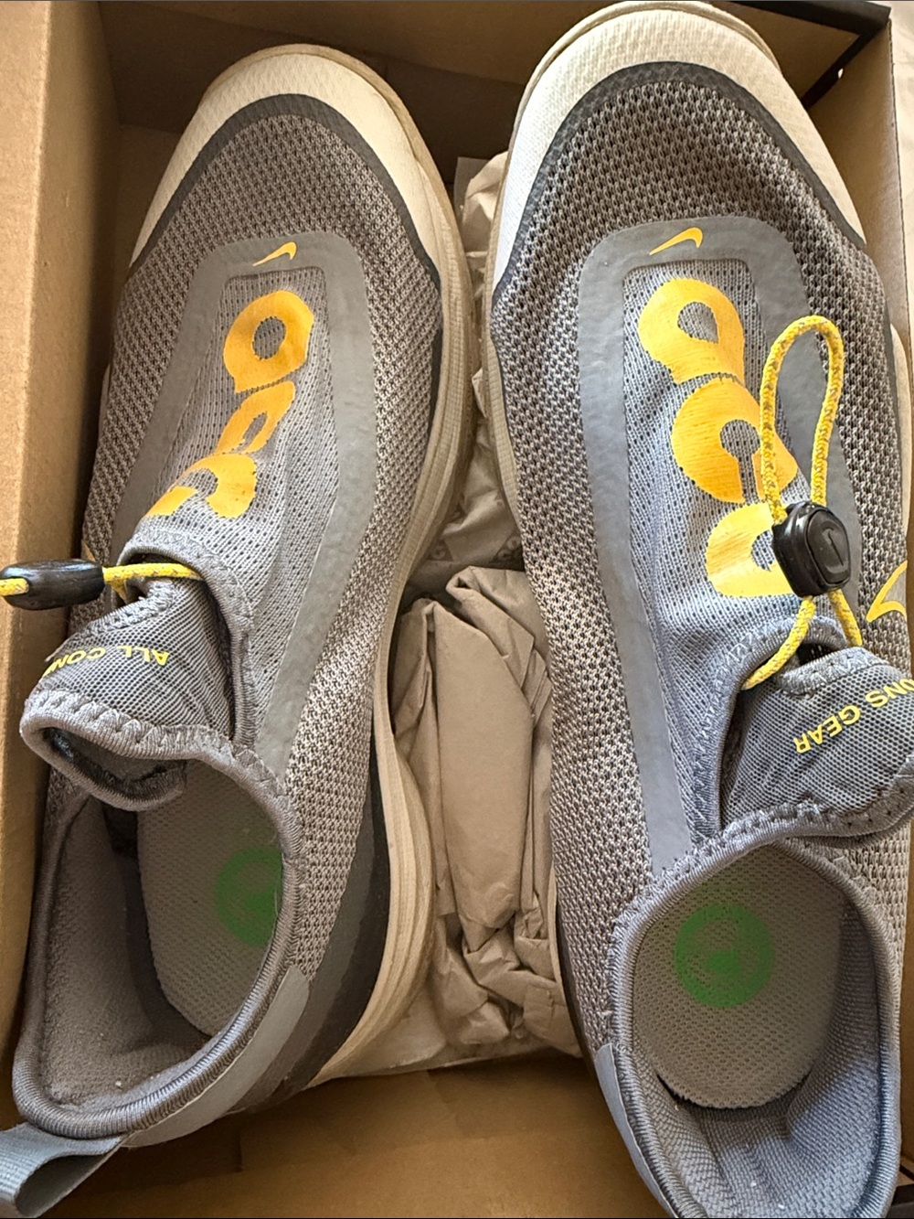 Nike ACG Grey Water Shoes